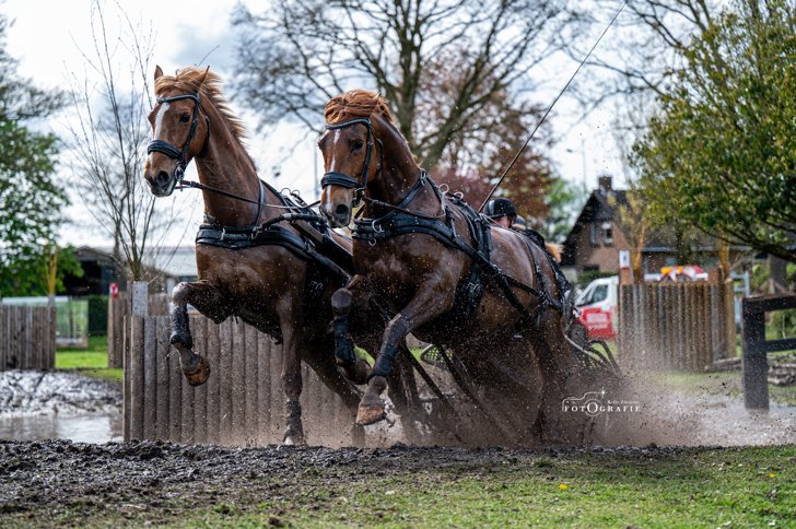 Meer dan honderd deelnemers bij SWM Heukelom
